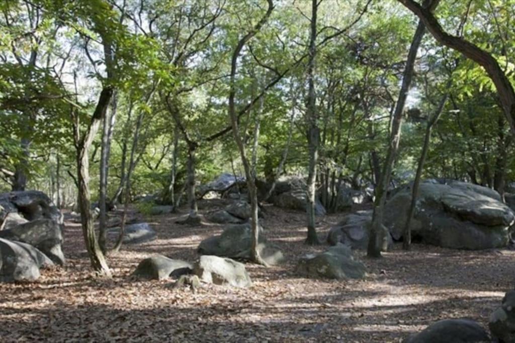 Gite Des Avaux- Pres De Paris Champcueil Esterno foto